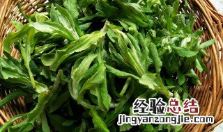 清明菜怎么吃 清明菜怎么吃治疗咳嗽