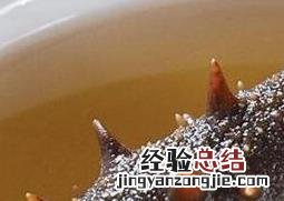 海参怎么样吃好 海参怎么吃海参