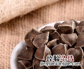 辣木籽的功效与作用辣木籽副作用 辣木籽的功效与作用