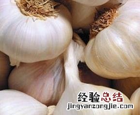三种人不宜吃大蒜的原因 三种人不宜吃大蒜