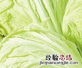 大白菜的功效与作用 小白菜的功效与作用