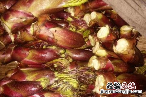 农村种植什么收益快又高 农村种植什么收益好