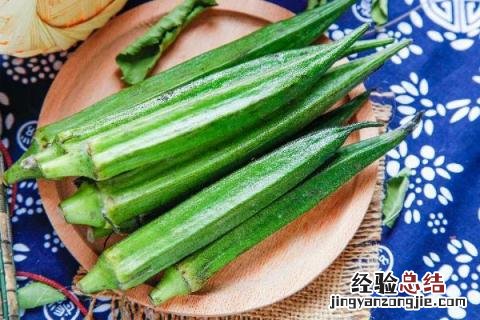 农村种植什么收益快又高 农村种植什么收益好