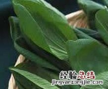 孩子补钙吃什么蔬菜好 孩子补钙吃什么蔬菜好一点