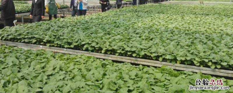 生态农业的特征主要表现在，生态系统破坏主要包括
