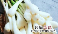 荞头怎么吃好吃又简单 荞头怎么吃好