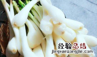 荞头怎么吃好吃又简单 荞头怎么吃好