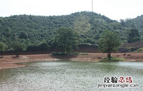 夏季养鱼注意事项 夏天养鱼注意事项