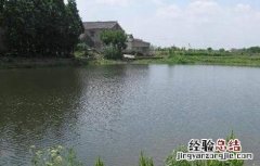 夏季养鱼注意事项 夏天养鱼注意事项
