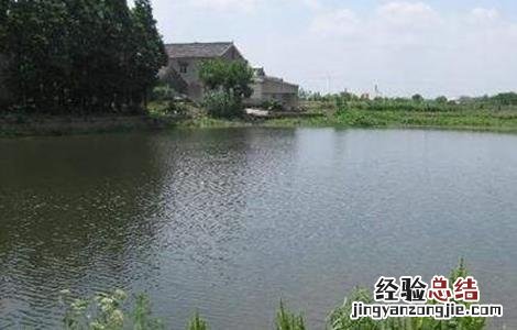 夏季养鱼注意事项 夏天养鱼注意事项