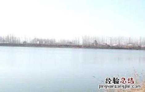 夏季养鱼注意事项 夏天养鱼注意事项