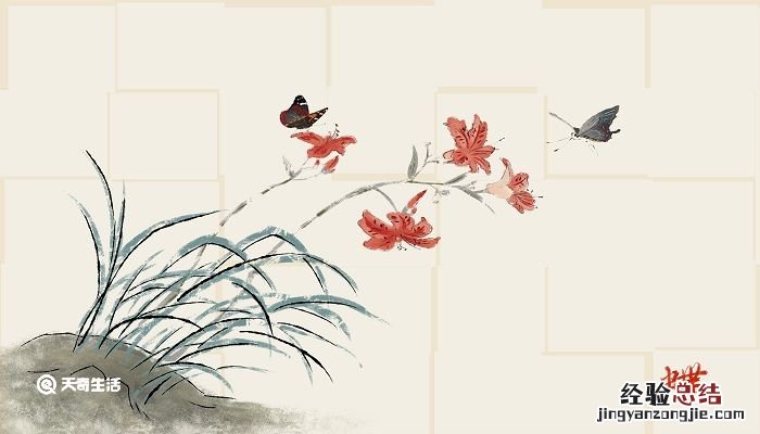 落红不是无情物化作春泥更护花是什么意思