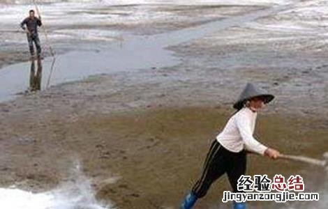 鱼塘清塘怎么清 鱼塘清塘方法