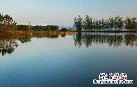 鱼塘清塘怎么清 鱼塘清塘方法
