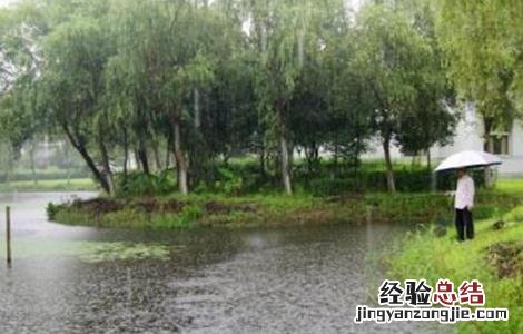 梅雨季节养殖塘该怎么管理 梅雨季节水产养殖怎么做