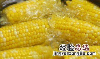 玉米要煮几分钟才能熟? 玉米要煮几分钟才熟