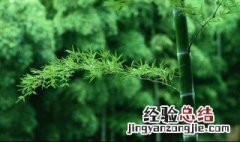 关于春天的成语 春天的成语有什么