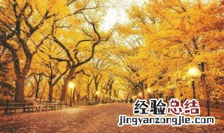 关于秋天的成语 秋天的成语有什么