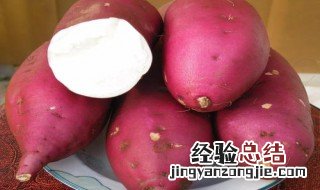 红苕发芽能吃吗 红苕发芽能吃吗有毒吗