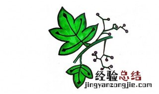 爬山虎怎么画 爬山虎怎么画简单又漂亮视频