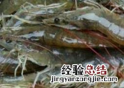 黑虎虾和基围虾的营养价值 基围虾的营养价值