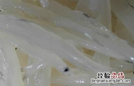 银鱼种苗培育方法 银鱼种苗培育方法图片