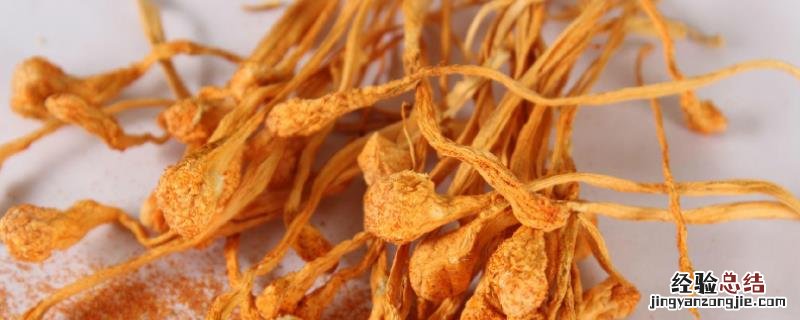 北虫草的栽培技术，和冬虫夏草有什么区别