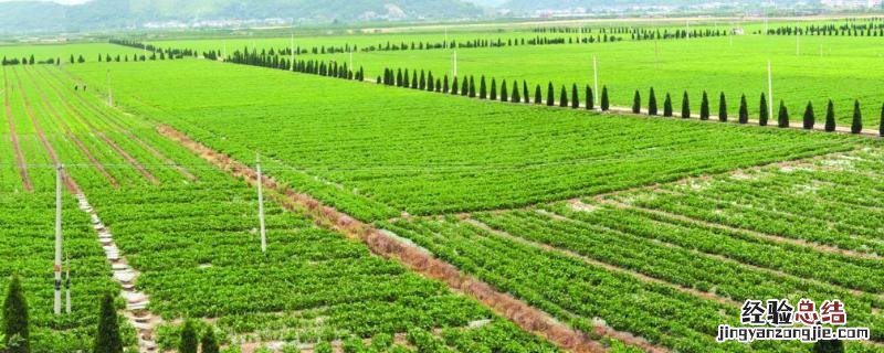 农业分布在河谷的原因 农业是第几产业?河谷农业主要分布在
