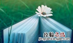 唯美而煽情的句子 唯美而煽情的句子合集
