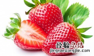 莓心莓肺草莓文案 草莓文案