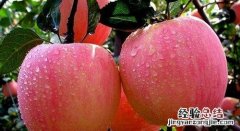 感冒发烧吃什么水果好一些 感冒发烧吃什么水果好点