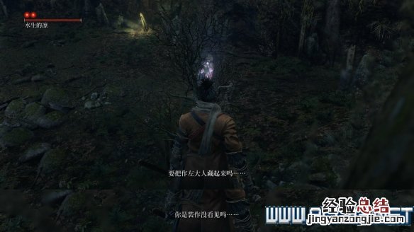 只狼水生的凛招式技能分析 只狼水生的凛打完有啥