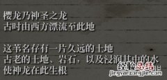 只狼影逝二度丈和巴剧情背景分析 只狼影逝二度完美结局