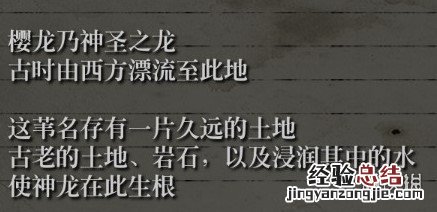 只狼影逝二度丈和巴剧情背景分析 只狼影逝二度完美结局