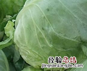 甘蓝菜有什么功效 甘兰菜的功效