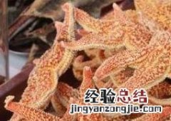 海星的功效与作用及营养价值 海星的功效与作用