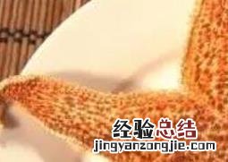 海星的功效与作用及营养价值 海星的功效与作用