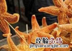海星能吃吗 海星能吃吗,有什么营养
