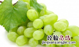apples怎么读 grapes怎么读