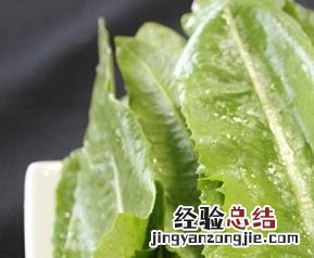 油麦菜的功效与好处 油麦菜的功效与好处