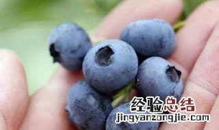 蓝莓怎么样变甜 蓝莓太酸如何变甜