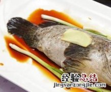 石斑鱼的功效与作用 石斑鱼的功效与作用禁忌