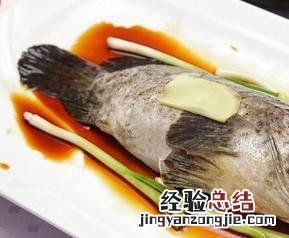 石斑鱼的功效与作用 石斑鱼的功效与作用禁忌