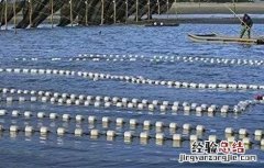 鳗鱼的养殖模式 鳗鱼的养殖技术