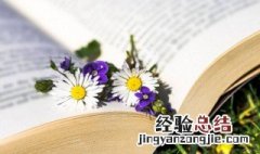 发乎情止乎礼义是什么意思 发乎情,止乎礼的意思