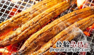 鳗鱼怎么煮最好 鳗鱼怎么煮