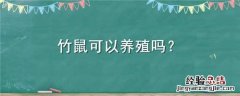 竹鼠可以养殖吗视频 竹鼠可以养殖吗