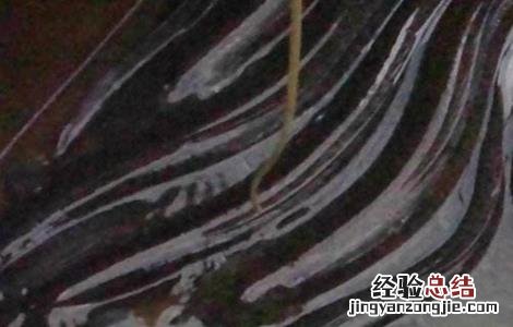 鳗鱼养殖条件是什么 鳗鱼养殖条件