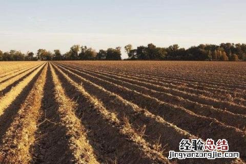 春季干什么农活 春季有哪些农活