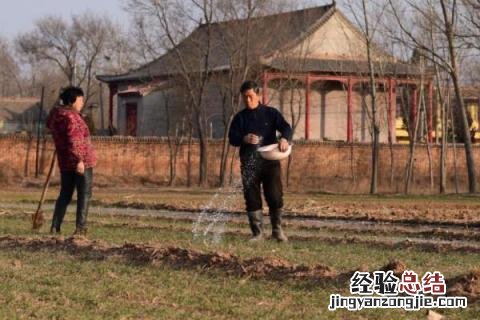 春季干什么农活 春季有哪些农活